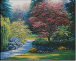 (image for) Japanese Maples